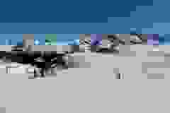 52813725_1204343419734834_212181408876068864_o-9530