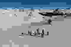 53160274_1204343143068195_1264718717342711808_o-9533