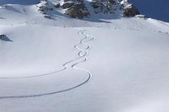 IMG-20240225-WA0025