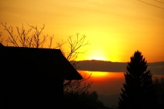 SONY DSC