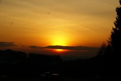 SONY DSC