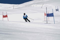 DSC06655-9537