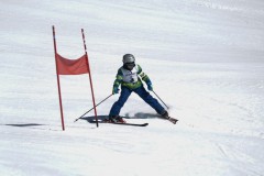 DSC06688-9541