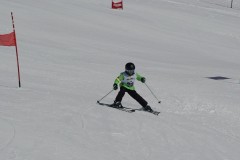 DSC06737-9566