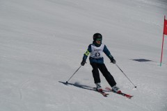 DSC06740-9567