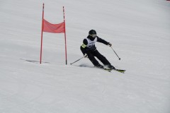 DSC06850-9619