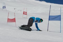 DSC06886-9636