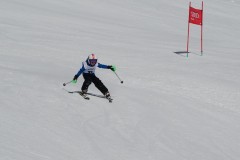 DSC06935-9661