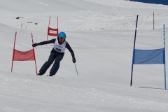 DSC07005-9695