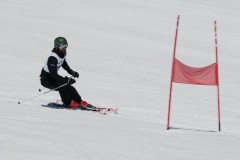 DSC07081-9734
