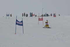 DSC03155
