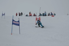 DSC03161