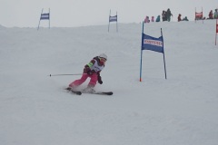 DSC03178