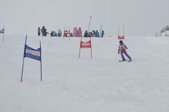 DSC03185