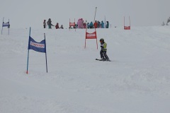 DSC03187