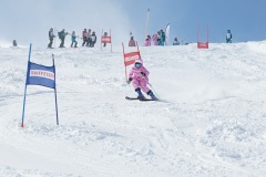 DSC03426