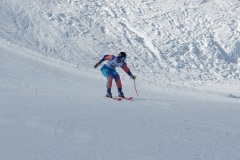 DSC00009-11579