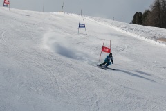 DSC00010-11580