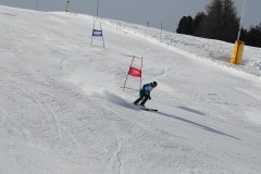 DSC00017-11585
