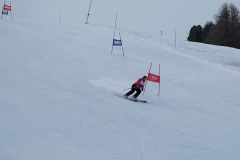 DSC00020-11588