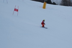 DSC00023-11590