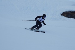 DSC00027-11594