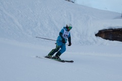 DSC00049-11613