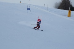 DSC00052-11614