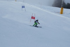 DSC00055-11616