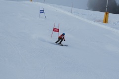 DSC00060-11621