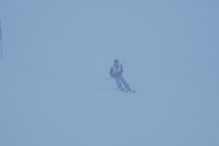 DSC00081-11641