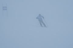DSC00087-11645