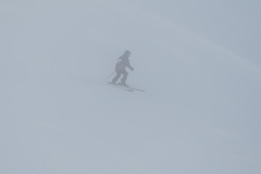 DSC00089-11647