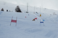 DSC09801-11438