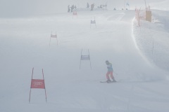 DSC09856-11468