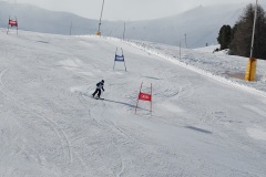 DSC09951-11526