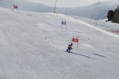 DSC09954-11528