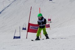 DSC06525-8638