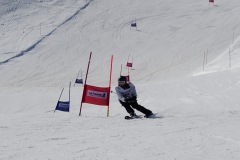 DSC06530-8639