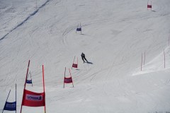 DSC06554-8648
