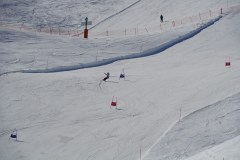 DSC06558-8650