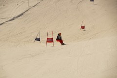 DSC06574-8657