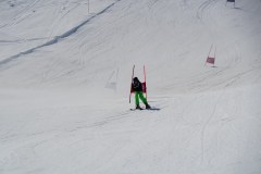 DSC06585-8663