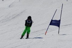 DSC06586-8664