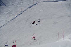 DSC06588-8665