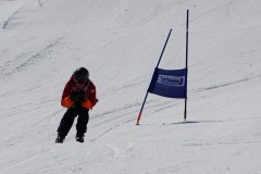 DSC06590-8667