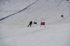 DSC06593-8668