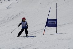 DSC06598-8672