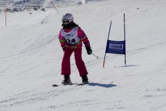 DSC06602-8674