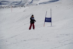DSC06605-8675